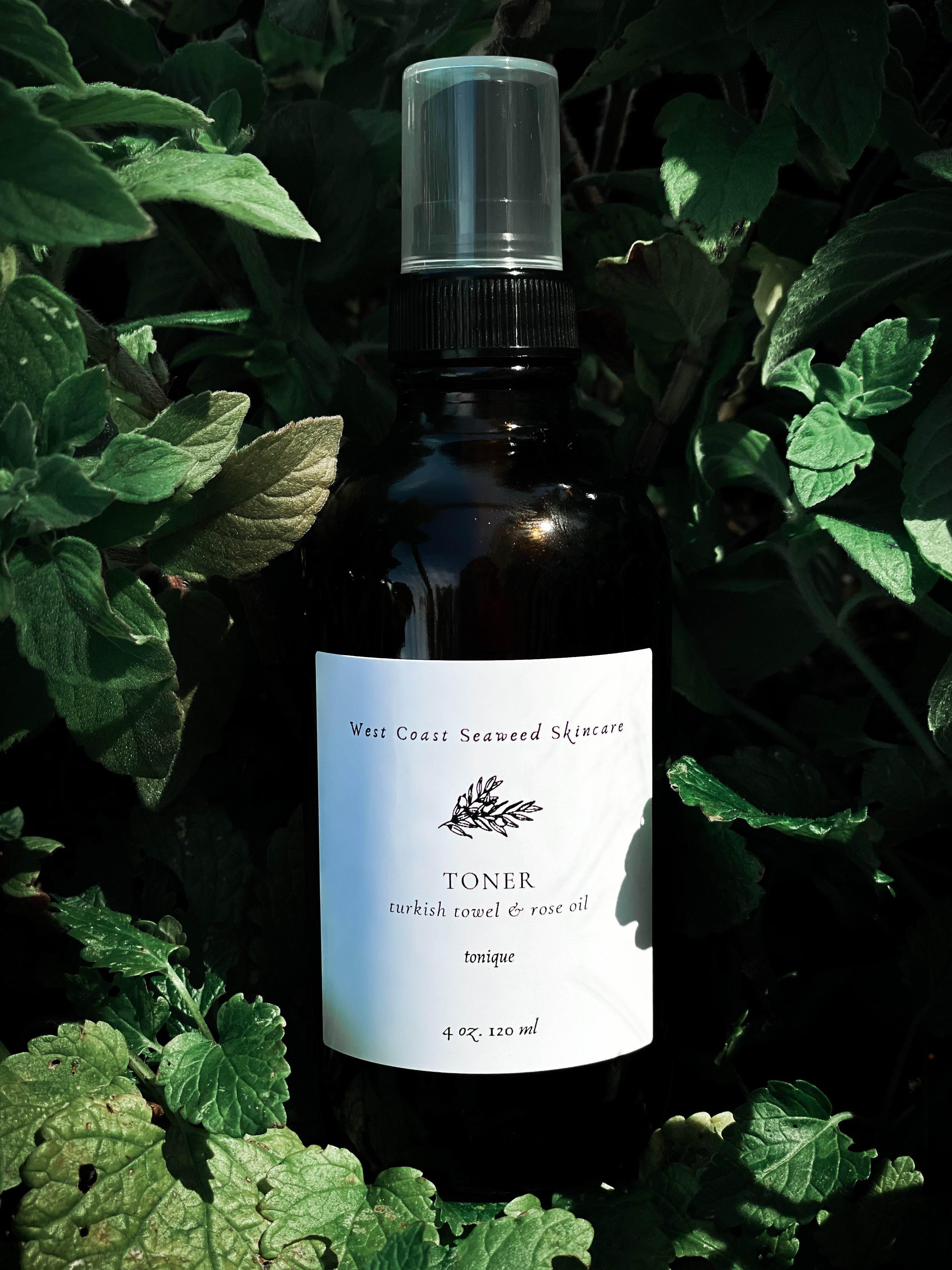 Seaweed Toner, Skincare